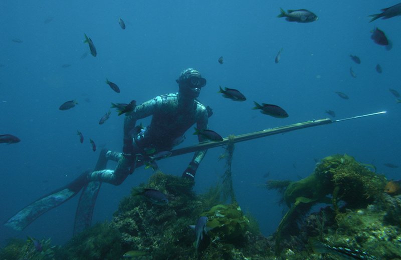 Person underwater with fish